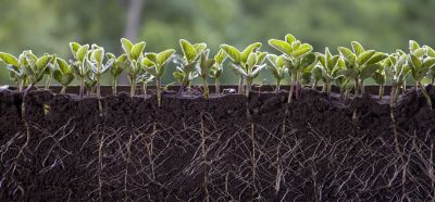 Customized soil health recommendations