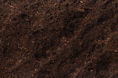 Optimal plant growth